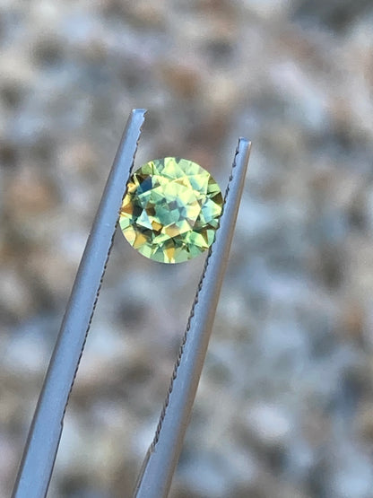 036- Yellow Parti Australian Sapphire 1.3ct ROUND CUT