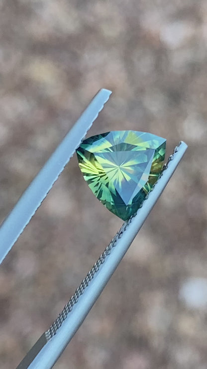 037- Australian Sapphire 1.71ct Yellow Green Parti ‘pharaohs eye’ TRILLION CUT